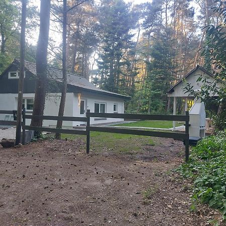 Huette An Der Aa Villa Emsbüren Eksteriør billede